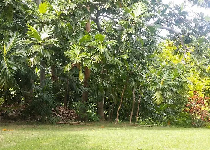 Coral Gardens Retreat
